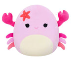 Squishmallows 8" Cailey the Crab