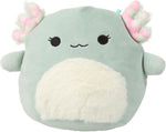 Squishmallows 7.5" Chasmen The Axolotl