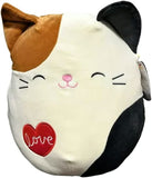 Squishmallows 4.5" Valentines Cam the Cat with Love Heart