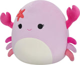 Squishmallows 7.5" Cailey the Crab