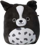 Squishmallows 5" Monty the Border Collie