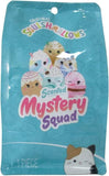 Squishmallows 5" Scented Mystery Pack Food Squad