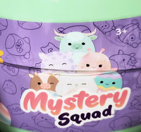 Squishmallows 8" Easter Mystery Shaped Egg