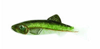 Renosky Lure Natural Series Keystone Jig Minnow