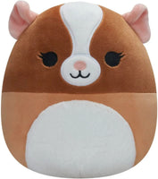 Squishmallows 10" Garret the Guinea Pig