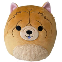 Squishmallows 10" Sandro the Chow Chow