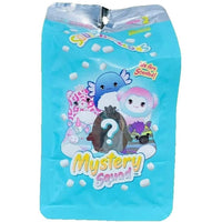 Squishmallows 8" Scented Mystery Squad Bag Series 2