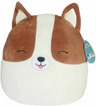 Squishmallows 12" Regina the Corgi Dog